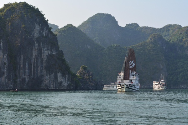 商业管理研究生文凭再申请MBA适合背景