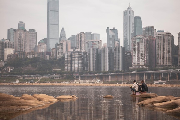 SHRM与SIM升学路径关注点对比